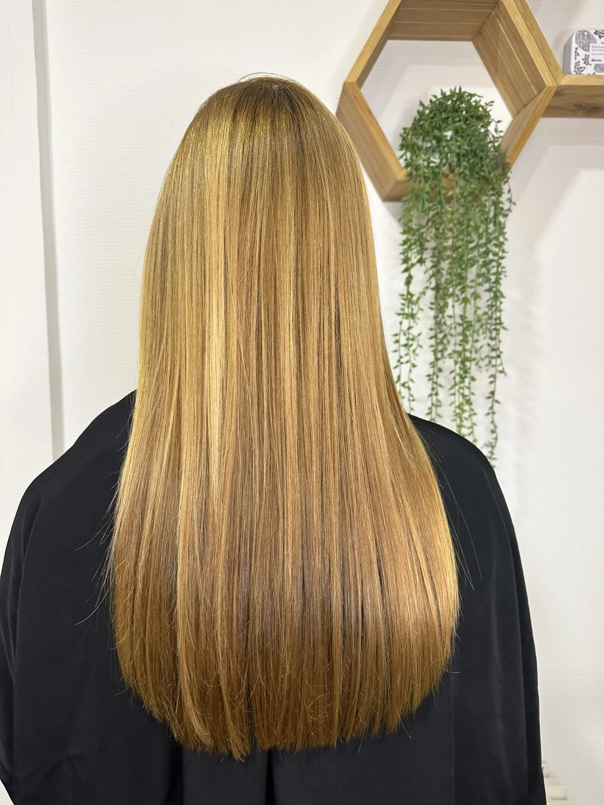 Botox capillaire à Auray, soin réparateur L'atelier by Mylène exemple 2